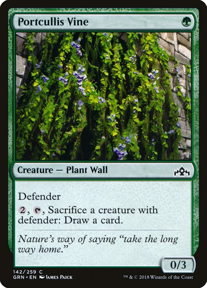 Portcullis Vine [GRN - 142]