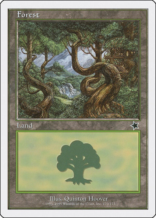 Forest (170) [S99 - 170]