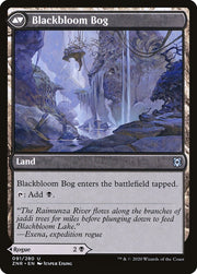 Blackbloom Rogue (Back)